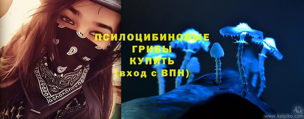 круглые Пересвет