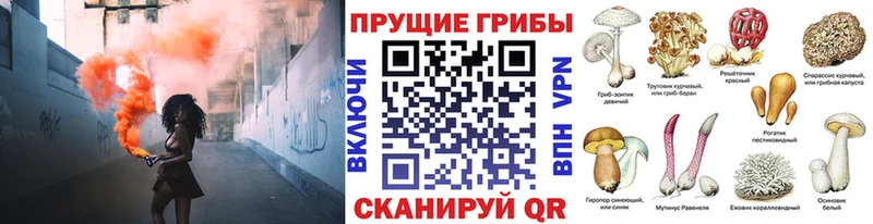 Псилоцибиновые грибы ЛСД  хочу наркоту  Александровск 